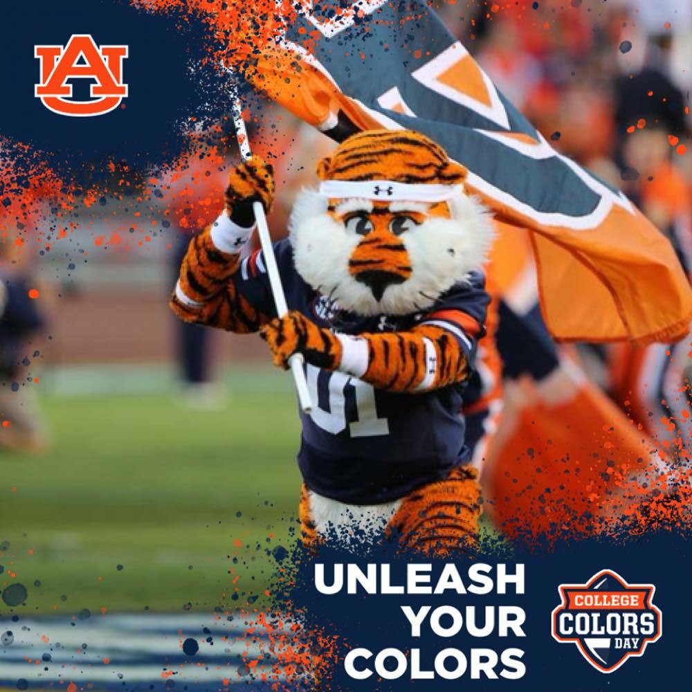 Meet your Posher, Ren